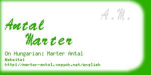 antal marter business card